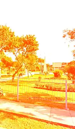 Mudanzas San Luis Julio 2026