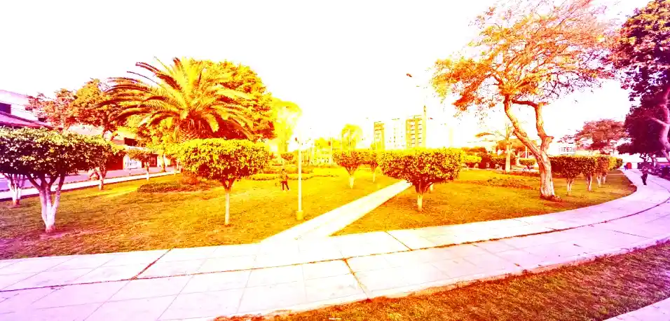 Mudanzas San Luis Abril 2026